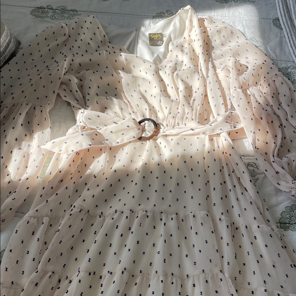 Lovely cream and Navy Taylor dress - Picture 3 of 3